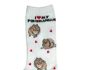 גרביים של פומרניין