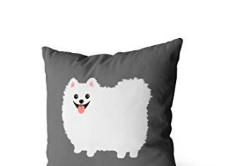 כרית פומרניין